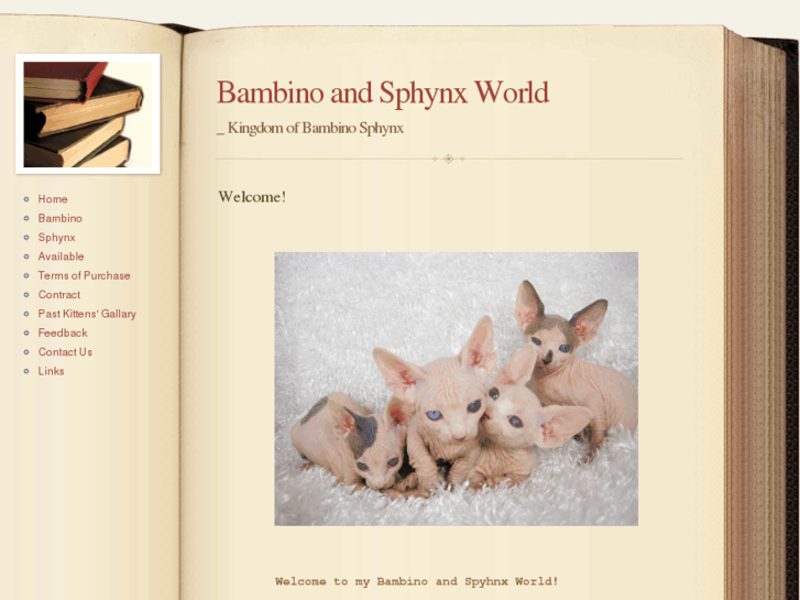 www.bambinosphynx.com