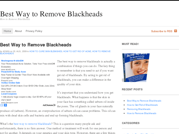 www.bestwaytoremoveblackheads.net