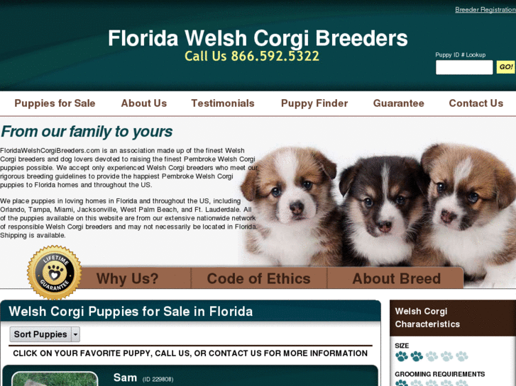 www.floridawelshcorgibreeders.com