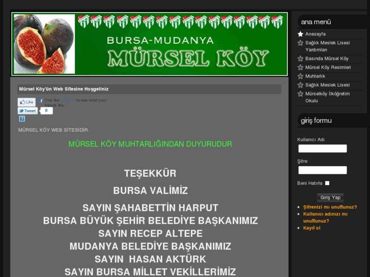 www.murselkoymudanya.com