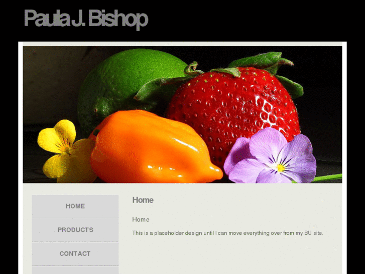 www.paulajbishop.com