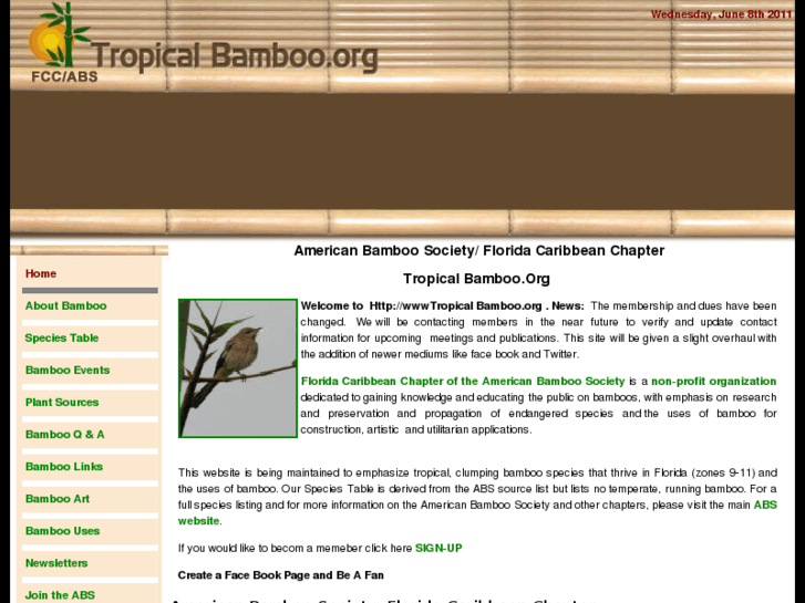 www.bamboopalmbeach.com