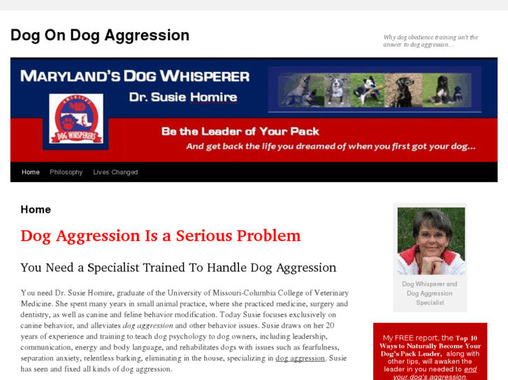 www.dogondogaggression.com