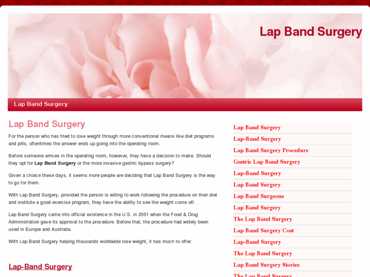 www.lap-bandsurgery.biz