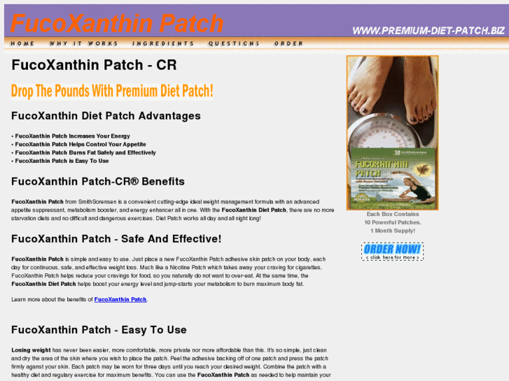 www.premium-diet-patch.biz