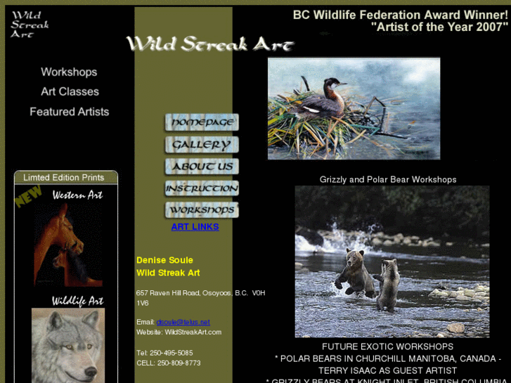 www.wildstreakart.com