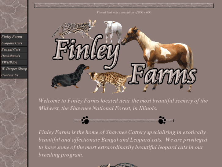 www.finleyfarms.net