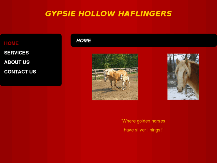 www.gypsiehollowhaflingers.com