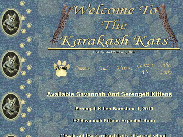 www.thekarakashkats.com