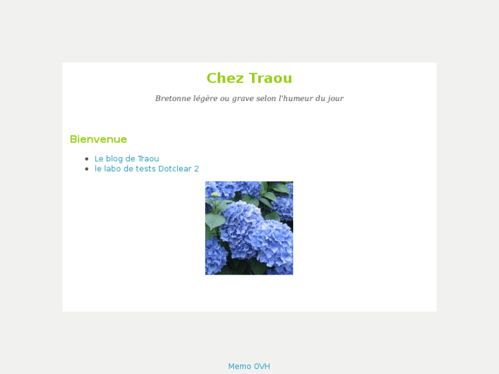 www.traou.net