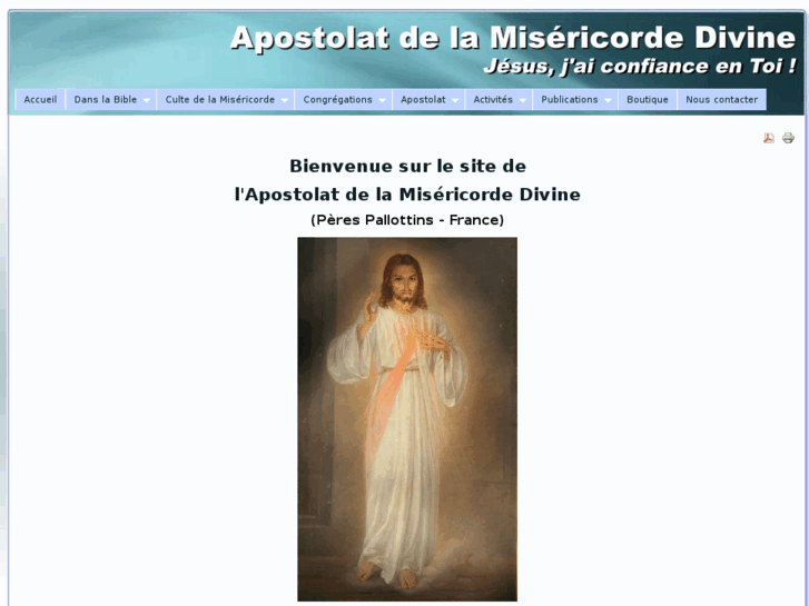 www.apostolatdelamisericordedivine.com