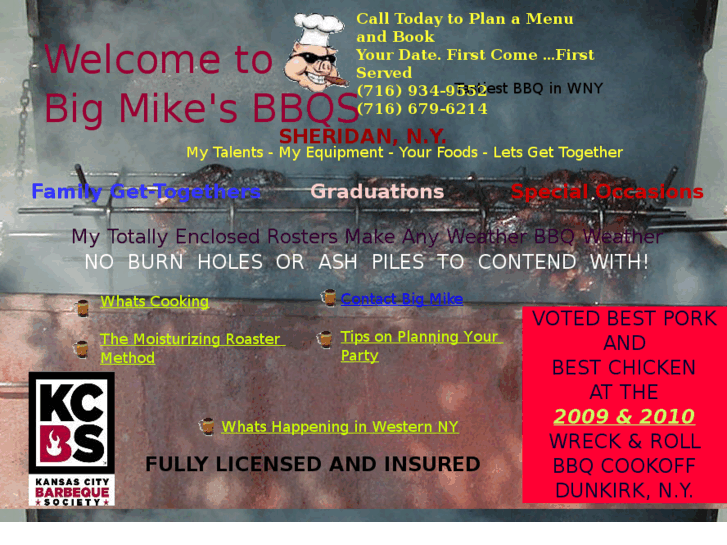 www.bigmikesbbqs.com