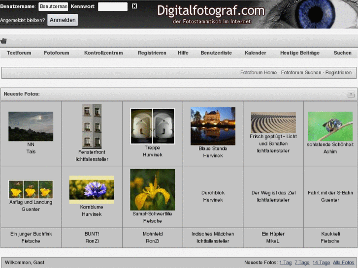 www.digitalfotograf.com