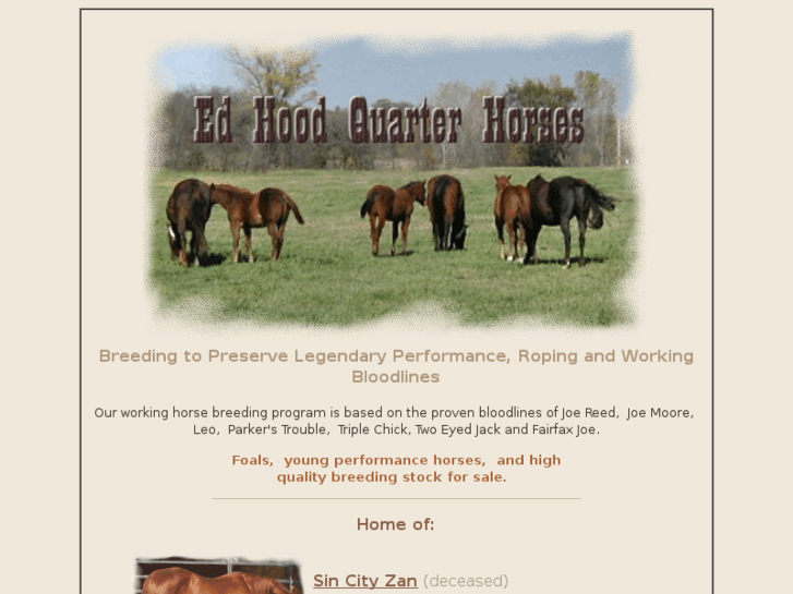 www.edhoodquarterhorses.com