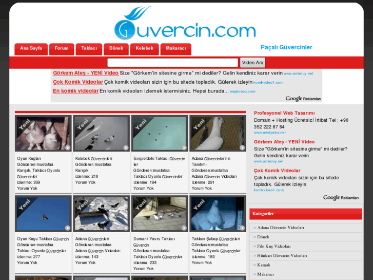 www.guvercinvideolari.com