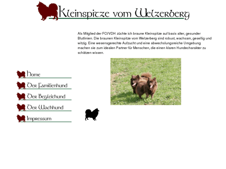 www.kleinspitze-vom-welzerberg.de