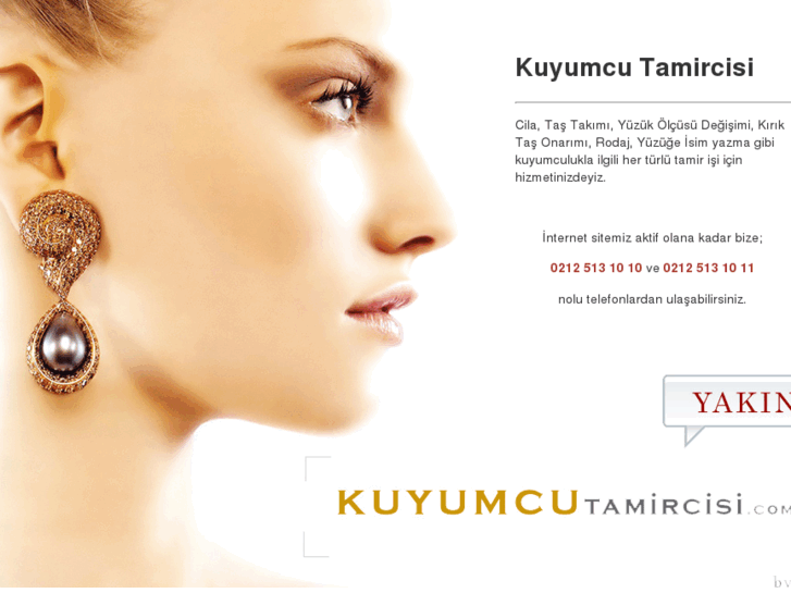 www.kuyumcutamircisi.com