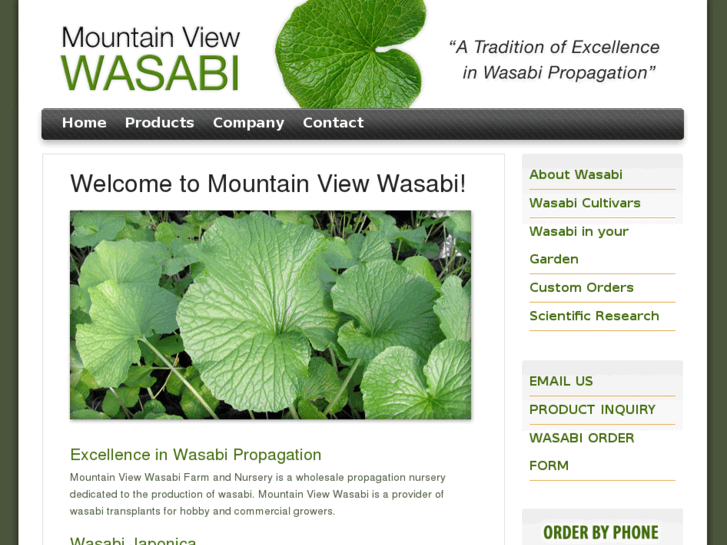 www.mountainviewwasabi.com