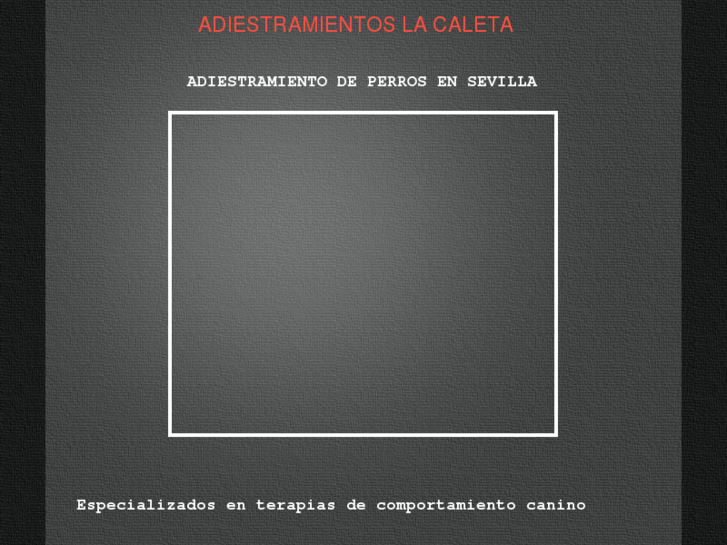 www.adiestramientoslacaleta.com