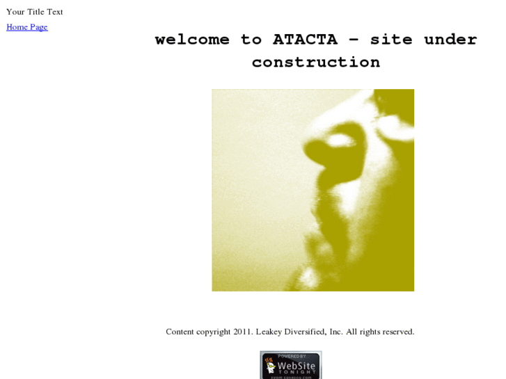 www.atacta.com