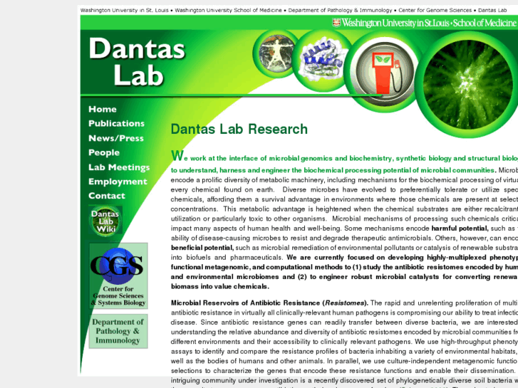 www.dantaslab.com