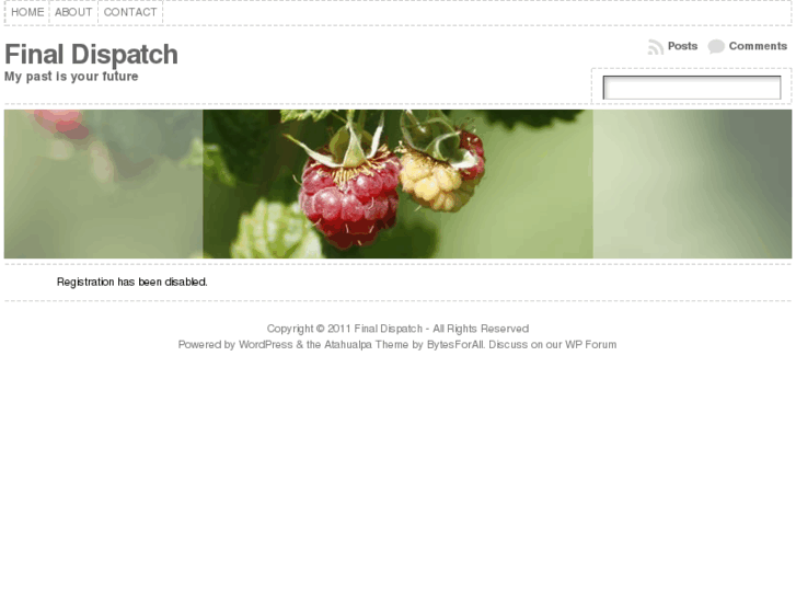 www.finaldispatch.net