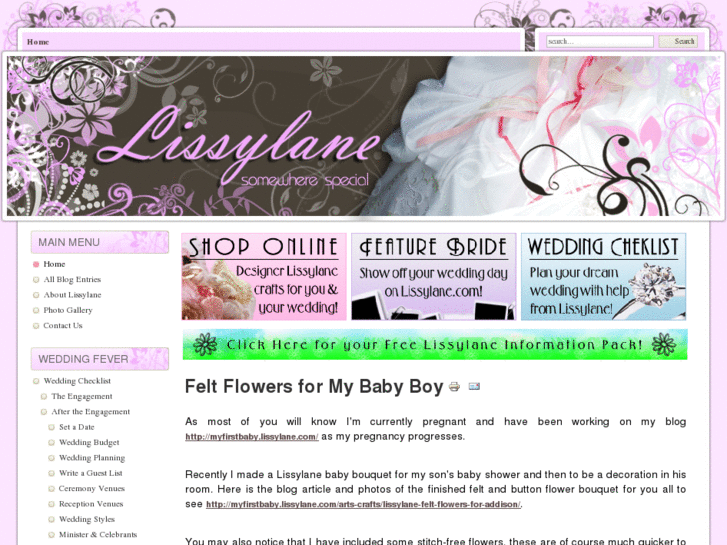 www.lissylane.com