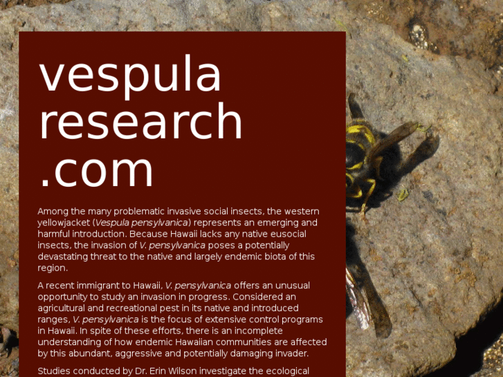 www.vespularesearch.com