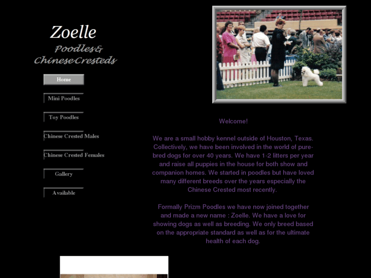 www.zoelledogs.com