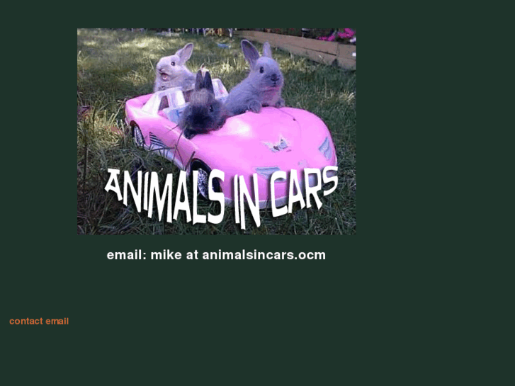www.animalsincars.com