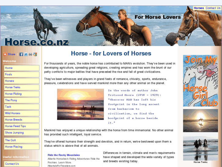 www.horse.co.nz