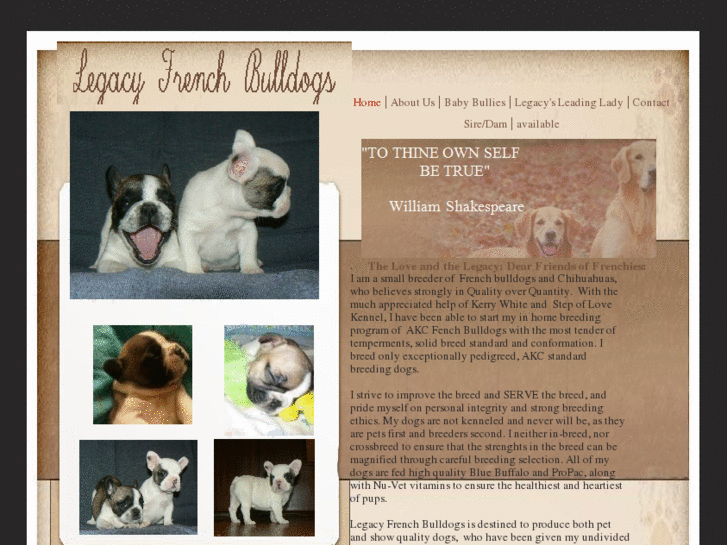 www.legacyfrenchbulldogs.com