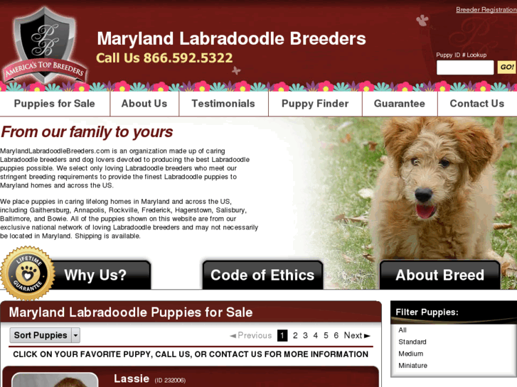 www.marylandlabradoodlebreeders.com