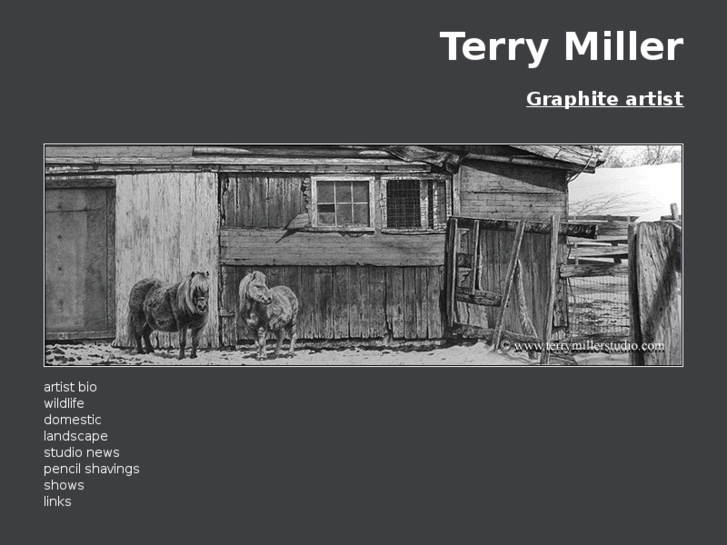 www.terrymillerstudio.com