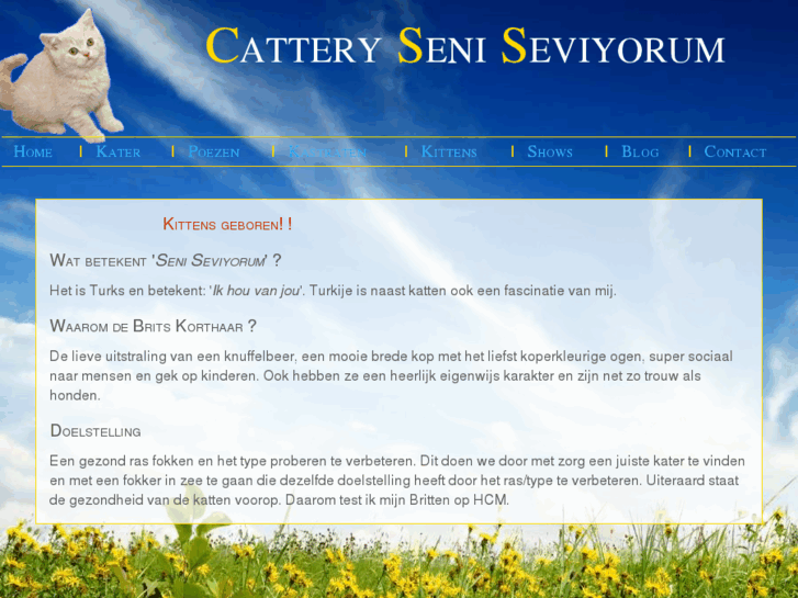 www.catteryseniseviyorum.com