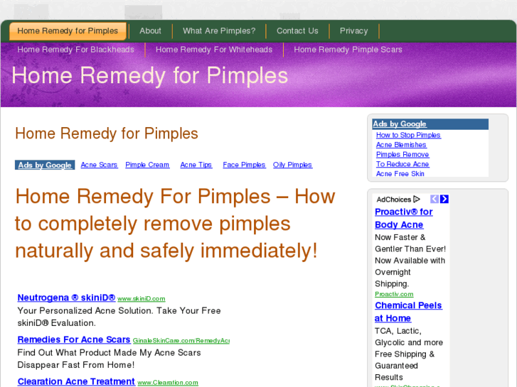 www.homeremedyforpimples.net