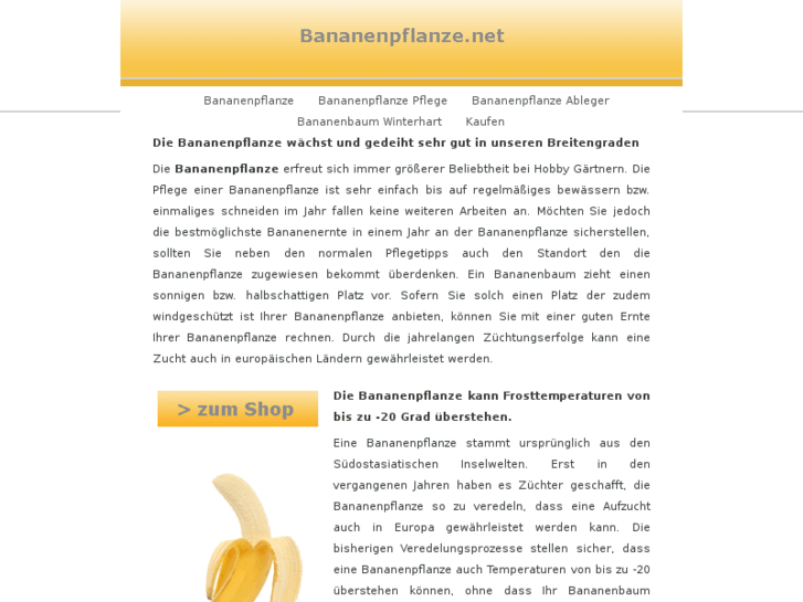 www.bananenpflanze.net