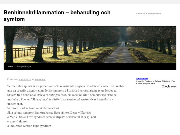 www.benhinneinflammation.net