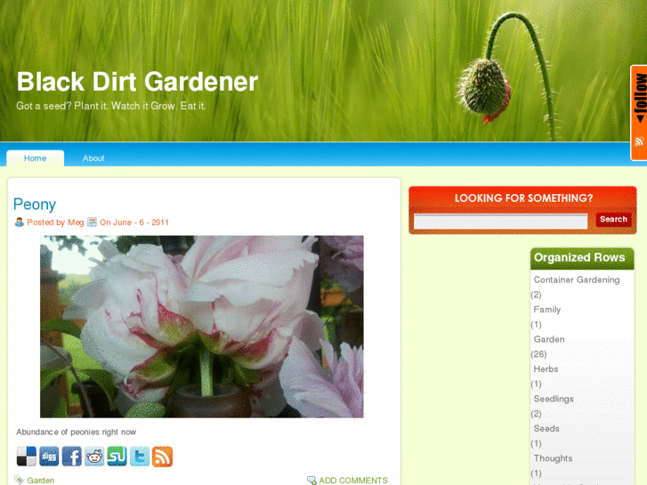 www.blackdirtgardener.com