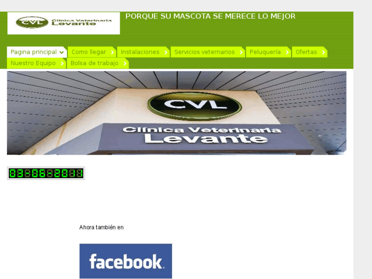 www.cvlevante.es