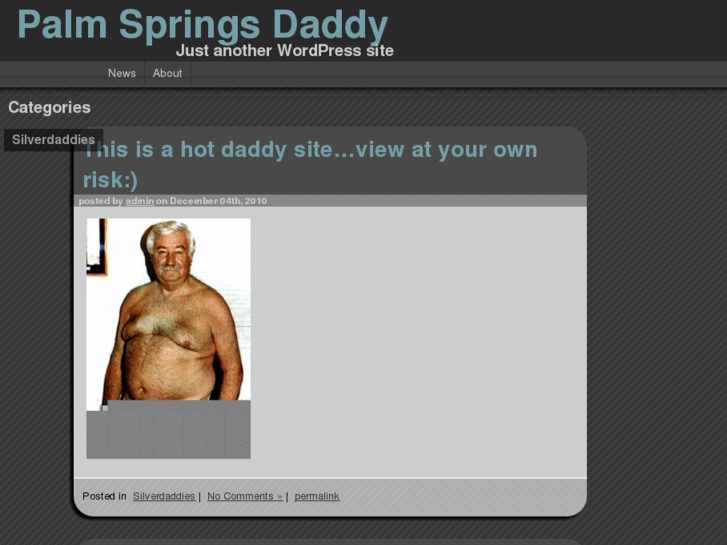 www.palmspringsdaddy.com