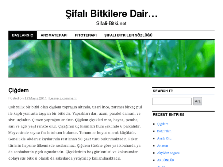 www.sifali-bitki.net