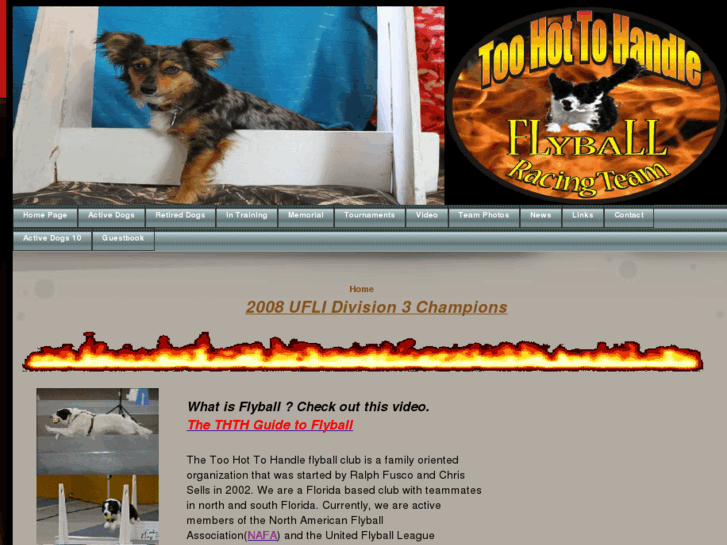 www.toohottohandle-flyball.com