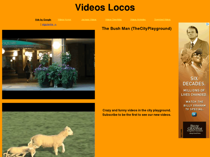 www.videoslocos.tv