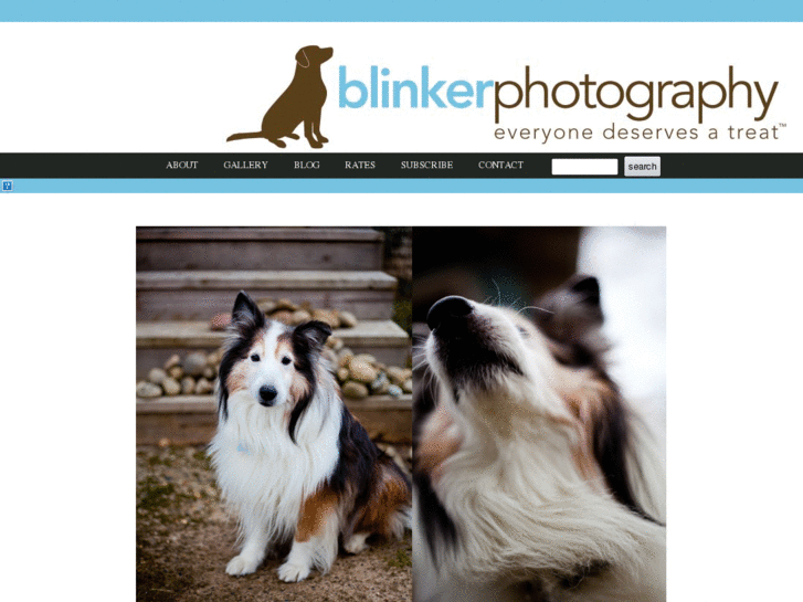 www.blinkerphotography.com