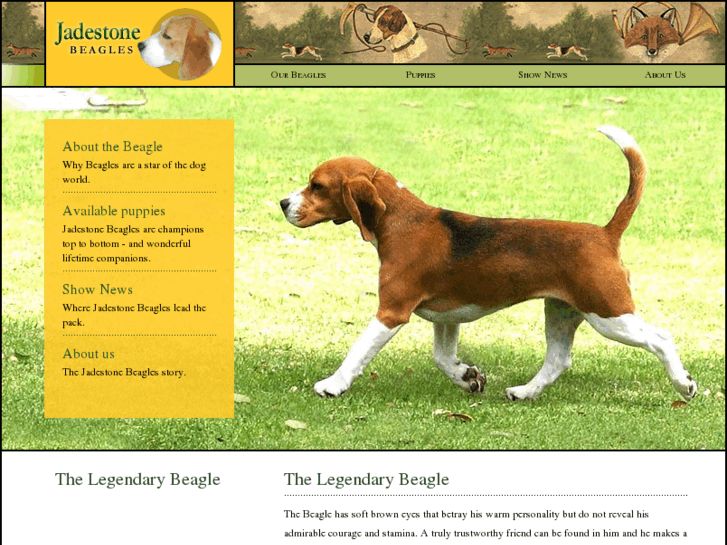 www.jadestonebeagles.com