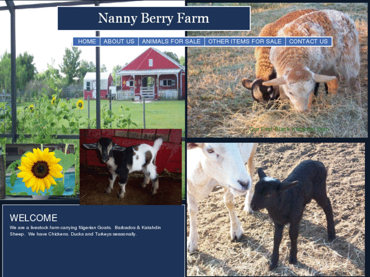 www.nannyberryfarm.com