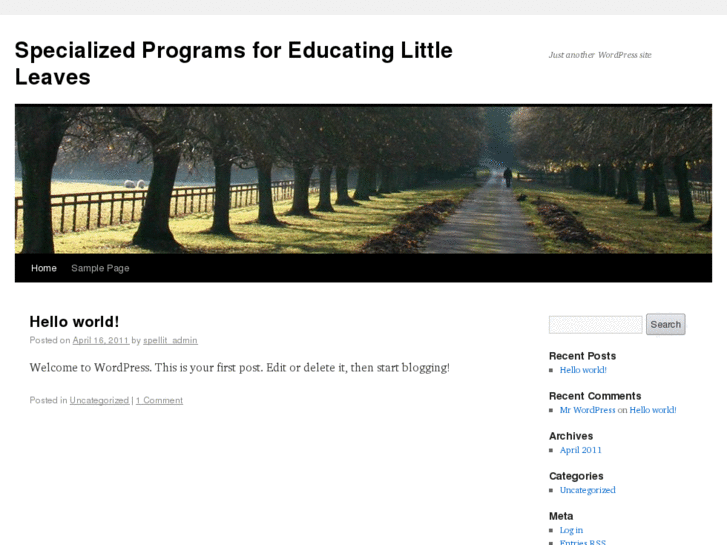 www.spellitacademy.info