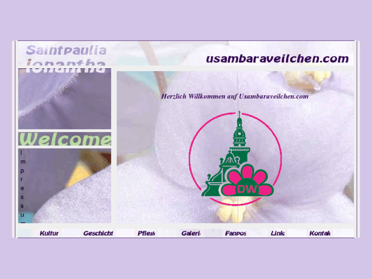 www.usambaraveilchen.com