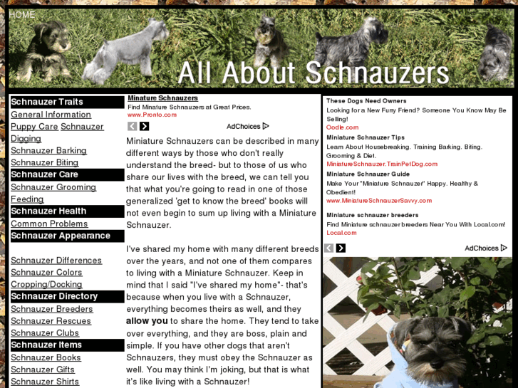 www.allaboutschnauzers.com